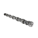 3327311 Camshaft - End View