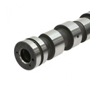 4101448THO Camshaft - End View