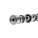4298626THO Camshaft - End View