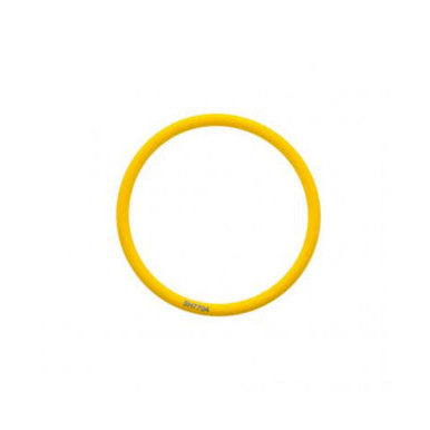 5H7704 O-Ring - Top View